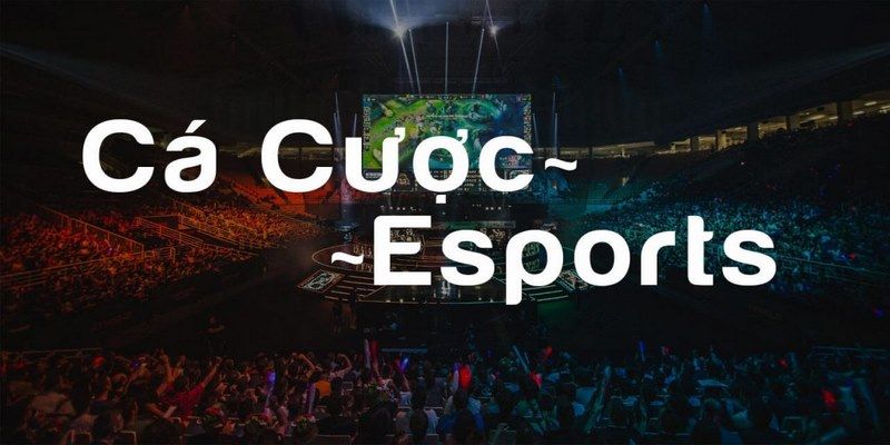 Tổng quan về sân chơi esport tại TK88 